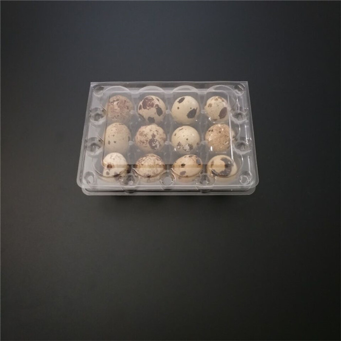 Coturnix Quail Eggs Container