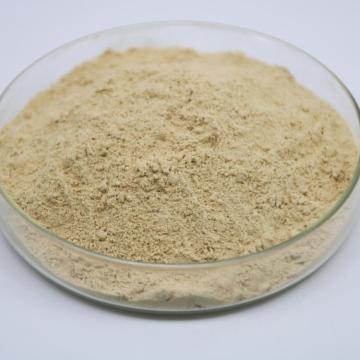 Ginseng extract (total saponins of ginseng)