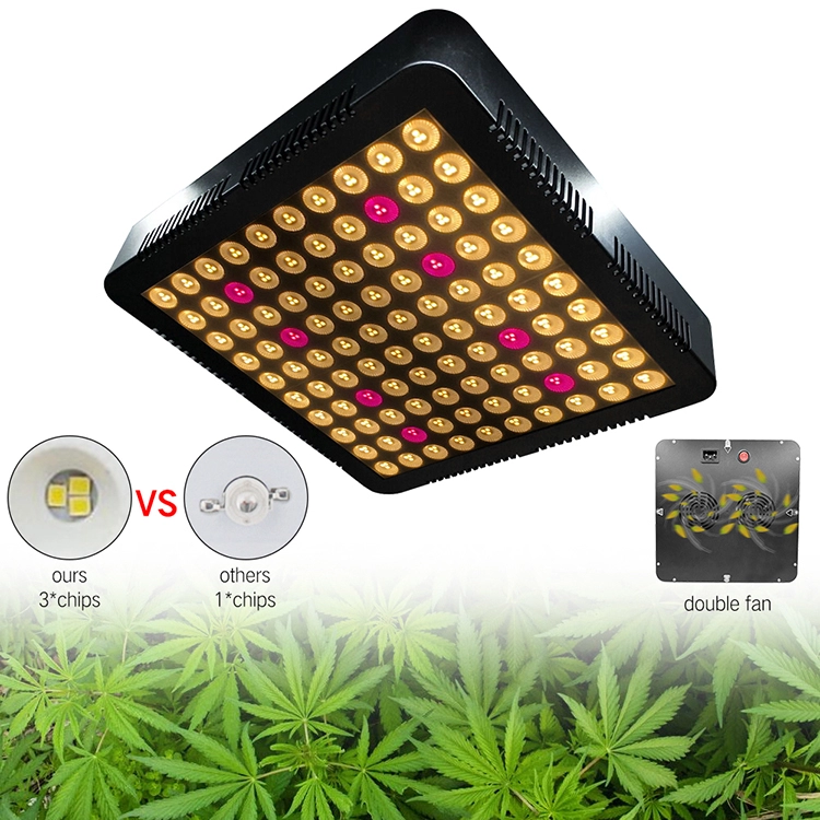 Indoor Led Grow Light