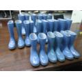 Stiefel Schimmel / Schuhe Mold / Rainboots Schimmel