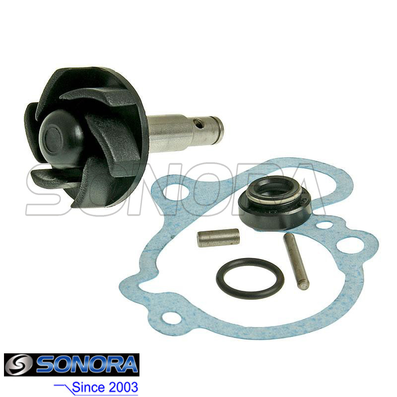 Water pump repair kit AM6