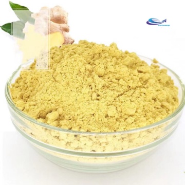 Poudre de gingerol naturel pur de haute qualité