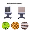 100W Water Cooler Industrial Portable Air Cooler for Car/Hotel/Restaurant