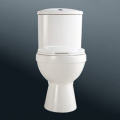 El mejor precio White Colored Two-Piece Toilet Bowl