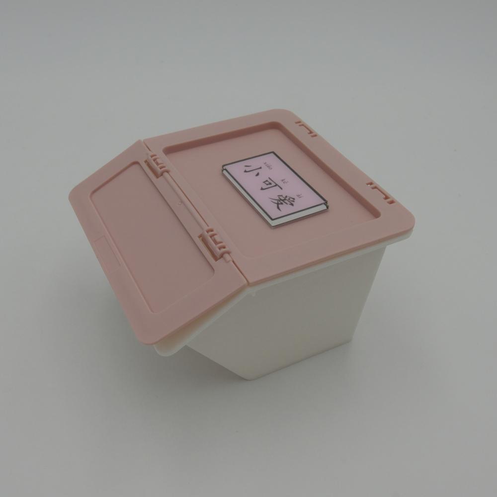 Foldable Plastic Box