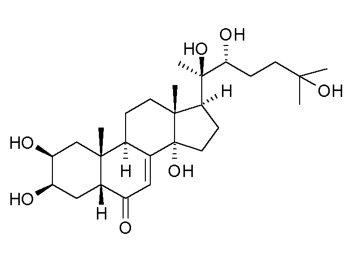 20-hydroxyecdysone structure