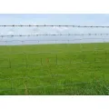 Fence de prairies et clôture de champ agricole de garde agricole