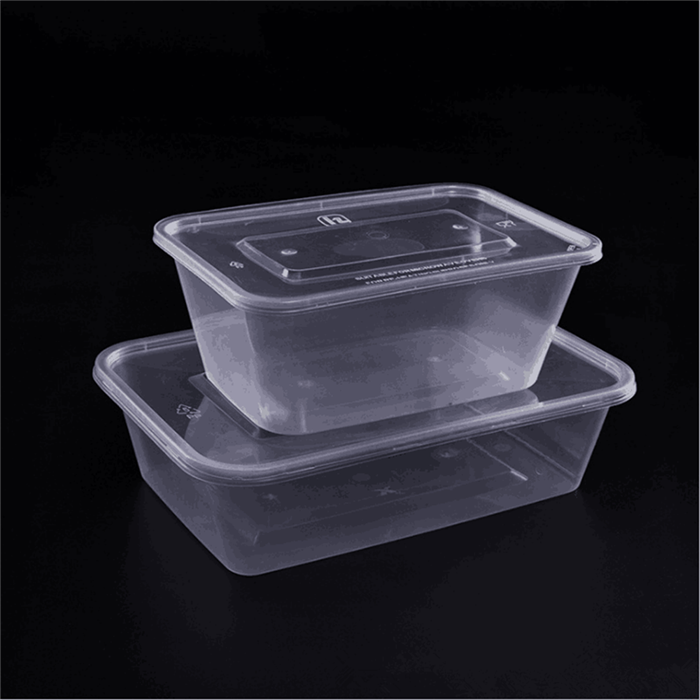 Disposable Plastic Lunch Container