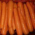 New Harvest Good Quality of Fresh Carrot (80-150g)