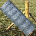 Hot Dipped Galvanized Field Fence