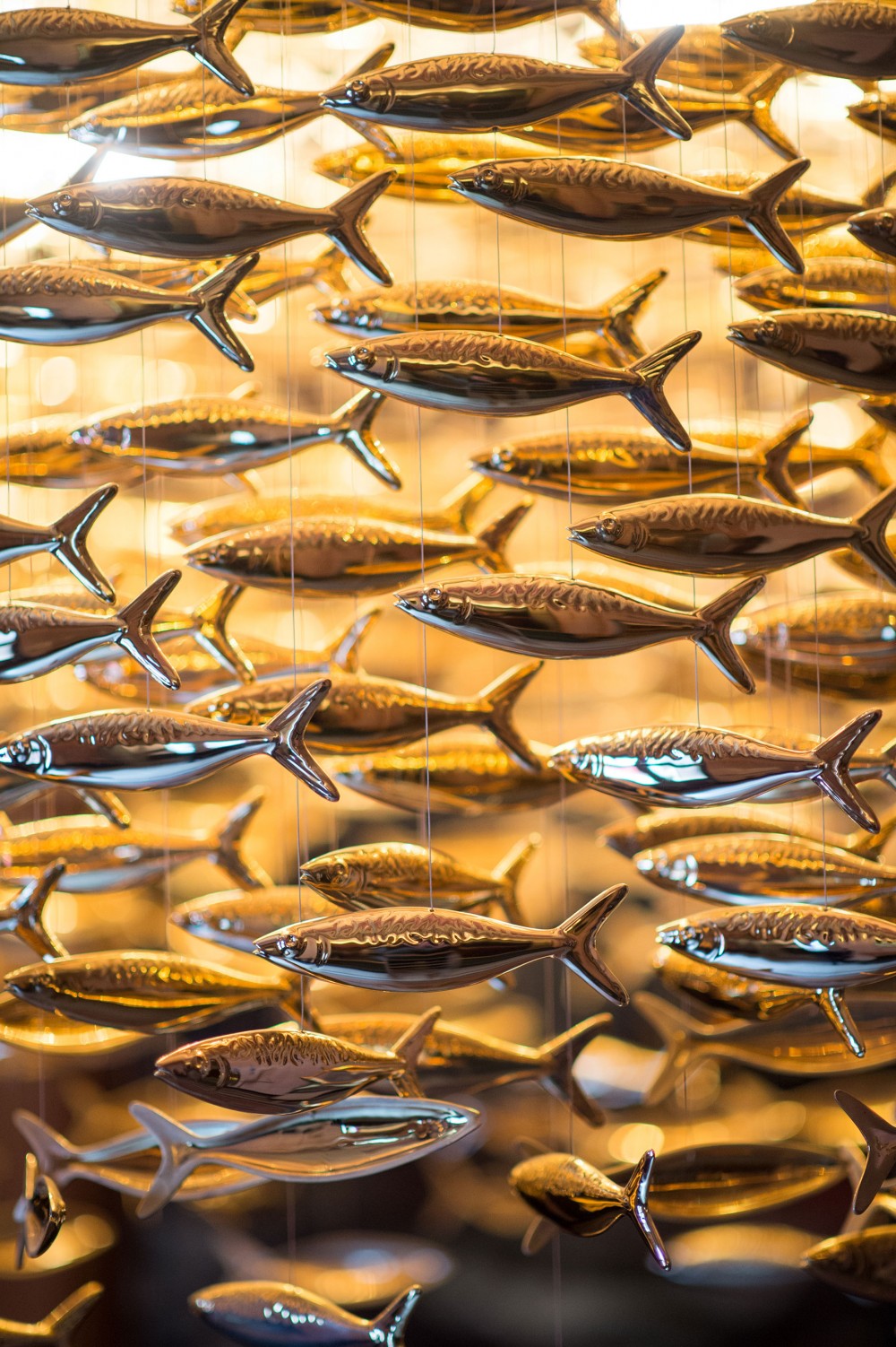 Shoal743-6__ScaleMaxWidthWzEwMDBd Shoal743-6__ScaleMaxWidthWzEwMDBd