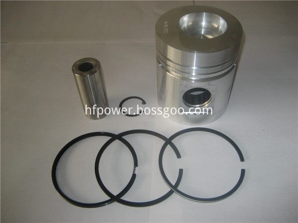 piston kit (1)