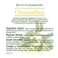 Top grade 100% osmanthus essential oil for perfume