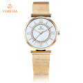 Quartz Watch Women Montre de mode Montre de luxe à quartz pour dames 71141