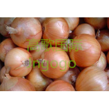 Export Fresh Vegetable Good Quality Yellow Onion