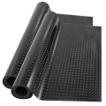 Plastic carpet protector mats