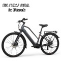 Bicicleta de boxes para adultos eléctricos LC02