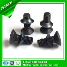 Torx cabeza plana negro tornillo antirrobo