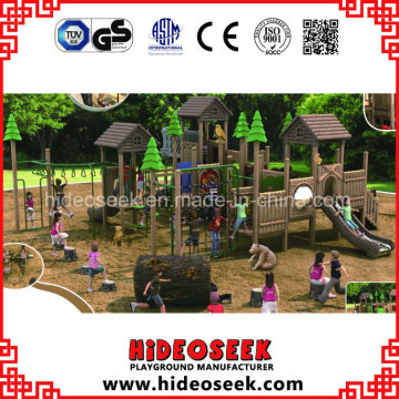 ASTM Standard Wholesale Natural Wood Color Playground para venda