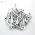 Competitive Price Steel Galvanized Galvan Concrete Nail