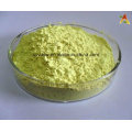 Sophora Japonica Extract Quercetin Powder