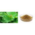 weight loss lotus leaf extract