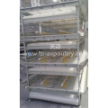 H Type Automatic Broiler Equipment