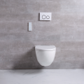 New Model Wall Mounted Smart Wall Hung Toilet