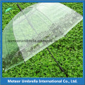 23inches recto automático abierto PVC transparente Apollo Bubble Umbrella