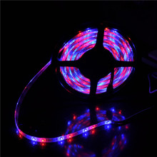 Décoration de Noël Edge Light Flexible LED Rope 3528 LED Strip