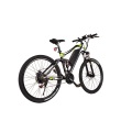 electric mountain bicycle with lowest promotion price