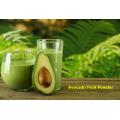 Bio -gefrier getrocknete Avocado -Obst -Extraktpulver