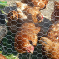 Hexagonal+Wire+Mesh+Chicken+Netting