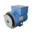 Brushless Lower Voltage Generator Electric Diesel