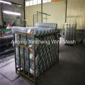 Galvanized Welded Wire Mesh Roll