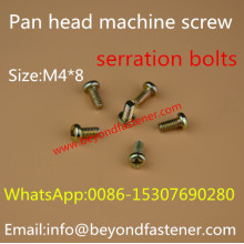 Serration Screw Special Bolts Slot Screw