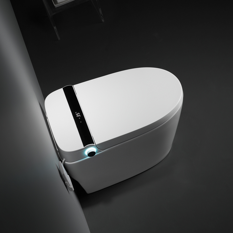 Sinking Tank Automatic Intelligent Ceramic Smart Toilet