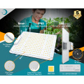 Wholesale LED PAR Panel Light Grow Plant Lamp