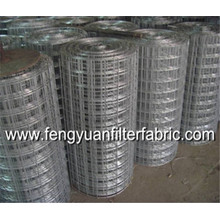 Stainless Steel Filter Wire Mesh