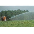 HOSE REEL IRRIGATION FOR AGRICULTURE