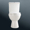 Hot Selling Sanitary Ware Modern Toilet Bowl