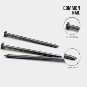 Factory Supply 6D Common Wire Nails with Good Quality