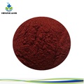 Grape Seed Extract Powder CAS 84929-27-1 Factory Supply