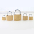 Dual-Line Imitate Brass Padlock with Atom Key 20mm to 75mm Avaliable