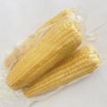 High Quality White Sweet Corns