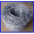 SGS electro galvanized barbed wire for sales