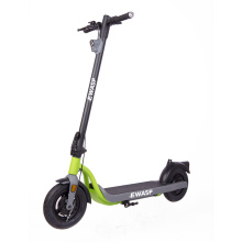 Powerful 350W Motor Electric Scooters for Commuter