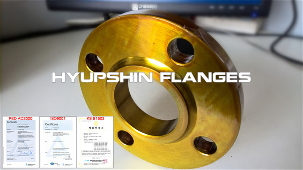 Hyupshin Flanges Pn16 Sorf