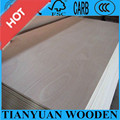 4X8′ Cheap Bintangor Commercial Plywood