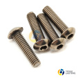 Titanium Screw Phillips & Pan & Button Head